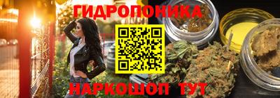 ГАЛЛЮЦИНОГЕННЫЕ ГРИБЫ Будённовск