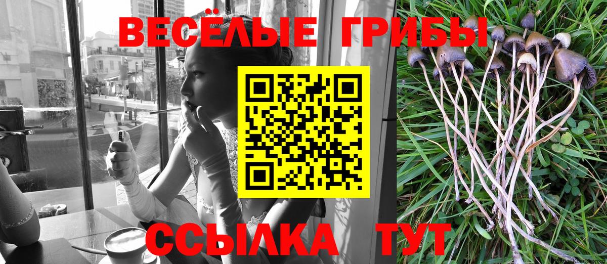 Галлюциногенные грибы мухоморы Щёкино