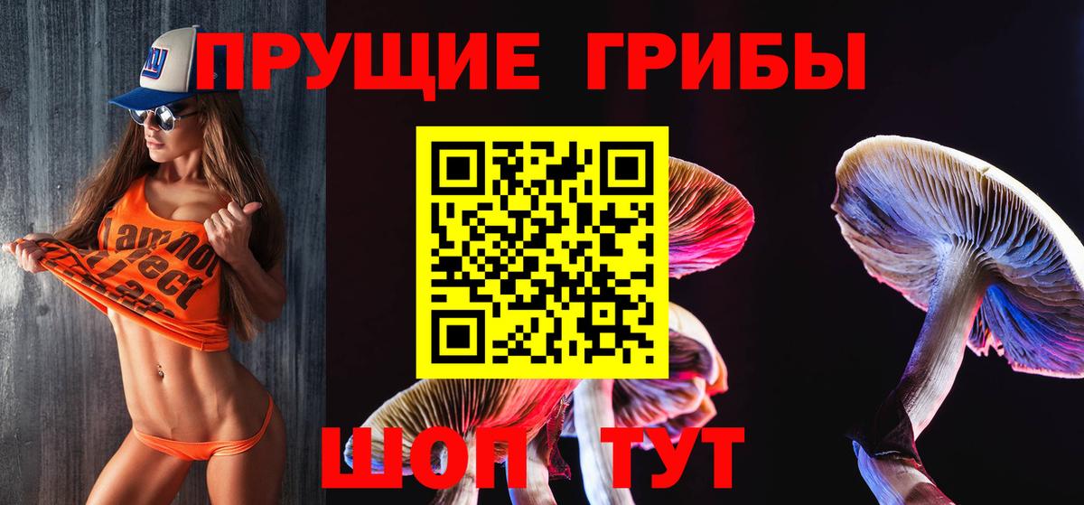 Щёкино  Псилоцибиновые грибы мухоморы  Вход с VPN 